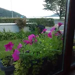 The Oystercatcher