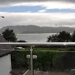 The Oystercatcher