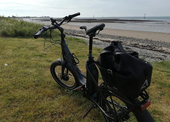 B&B The Oystercatcher 로스트레버