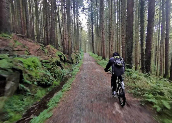 Nocleg ze śniadaniem The Oystercatcher O Meith